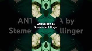 ANTUMBRA by Stemeseder Lillinger