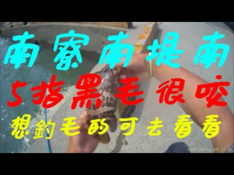 2024.05.07【南寮漁港南堤+磯釣+磯釣+好幾個釣友說 南寮南堤南樓上 5指大黑毛狂咬】淺灘前打淺打黑鯛目印八卦輪礁石沙底沙溝鵝卵石直感漂釣法－老洋 Fishing