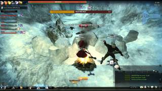 Vindictus Incapacitation Glitch