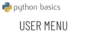 Python basics - User menu