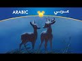 بامبي مهما العمر يطول مصري
