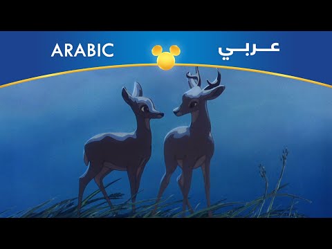 بامبي مهما العمر يطول مصري