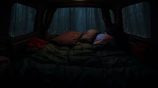Sleep well in the van at night - Leave the Busy World Behind, You Need Calm, Take a Rest