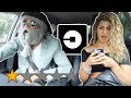 PICKED UP MY GIRLFRIEND UP IN AN UBER UNDER DISGUISE!!! *went terrible*