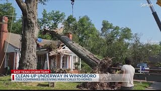 East Texas tree company busy with calls to damaged houses after storms