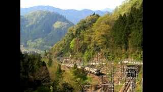 新緑の中央線　小仏峠小原方　115系　山スカ