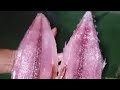 Chekmoy ASMR Mix Vlog is live! Fresh Fish Meat