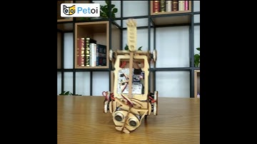 Meet Nybble: Your Boxing Cat Companion 🐱🤖 | Open Source & Programmable Robotics