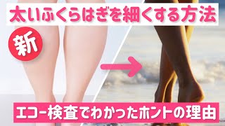 【ふくらはぎが太い本当の理由】エコー検査でわかった　ふくらはぎを細くする方法！