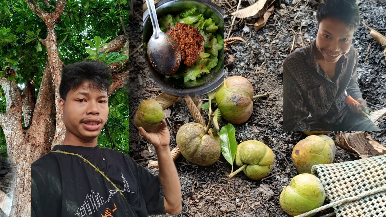 Elephant Apple -vegetable Lene gaya tha,--good morning everyone sab log humko support karna 😘😍🥵🥵
