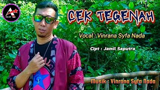 Cek Tegenah - Vinrana Arsyfa