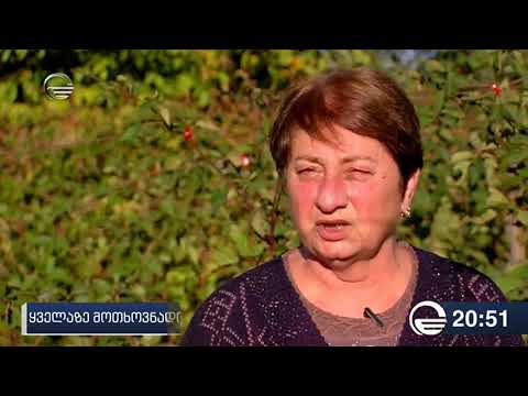 ყველაზე მოთხოვნადი 10 პროდუქტი ევროპის ბაზარზე