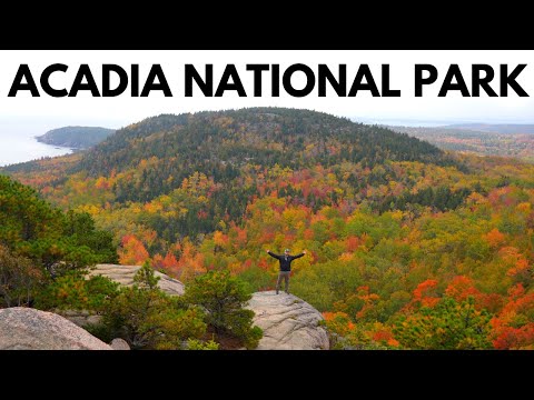 Video: Dagstur til Acadia National Park, Maine