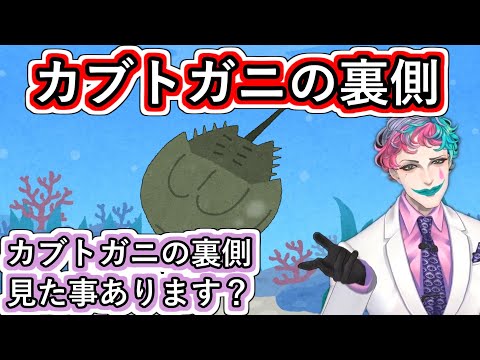 ｢カブトガニの裏側｣とだけ書かれたお便りを読んでカブトガニの裏側を見た時の感動を思い出して語るジョー・力一【#にじさんじ/#Vtuber切り抜き】