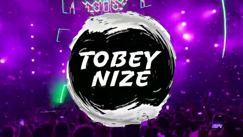 Seeed - Ding (Tobey Nize X L.I.F_ Remix) [Hypertechno]