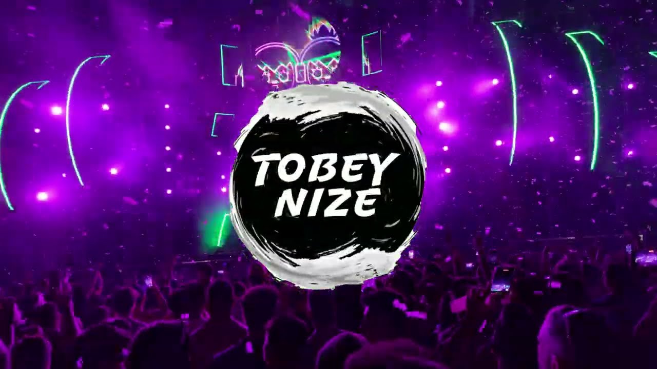 SEEED - DING (TOBEY NIZE x L.I.F_ REMIX) [HYPERTECHNO]