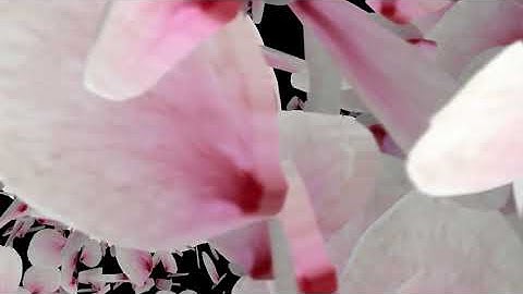 Particles Transitions | No Copyright | No Plugins Required | Easy To Use