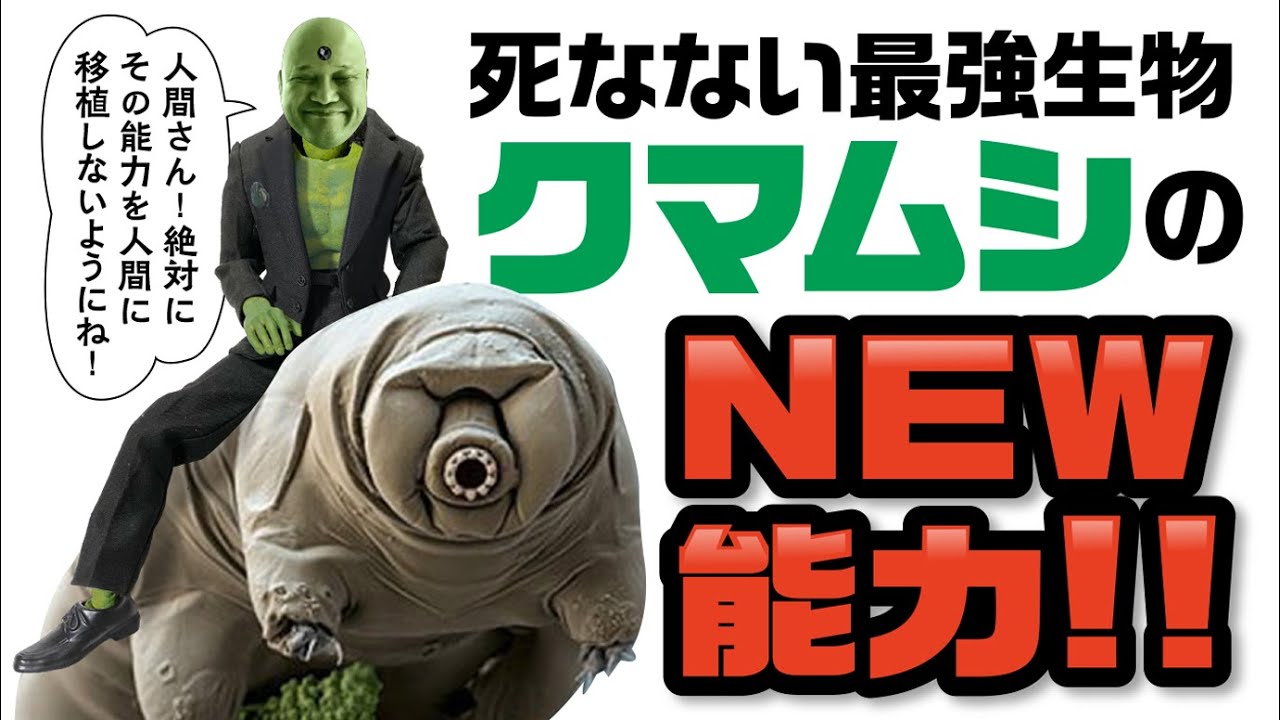 死なない最強生物クマムシのnew能力 Youtube