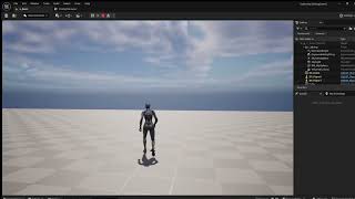 Playing with Physics in Multiplayer
