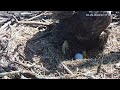 Hanover eagles live cam  ontap   free live cams from around the world  mozilla firefox 2024 03 2
