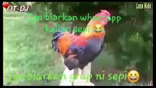 Ayam menani