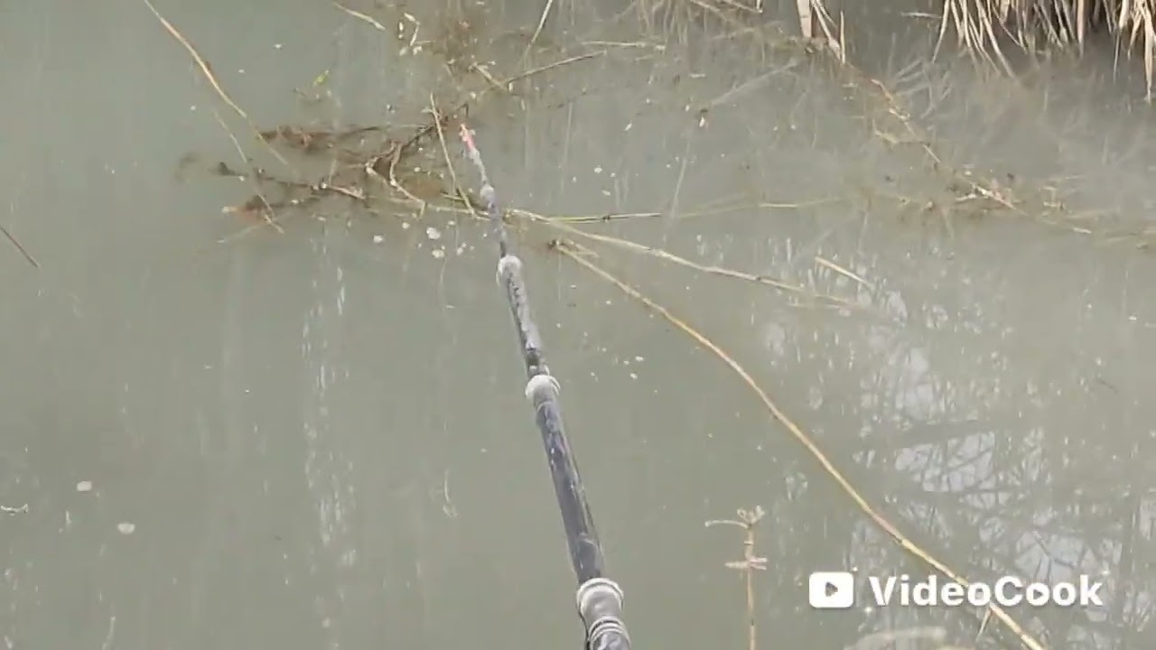 Патписка болиб койин