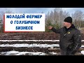 Как всё начиналось и чего добился в голубичном бизнесе