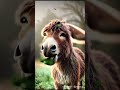 مذهل مدهش تامر عاشور    اكسبلور   رمضانمبارك 
