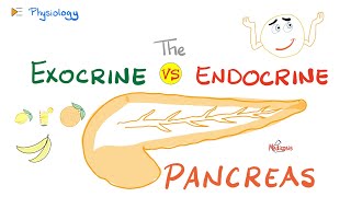 Pancreatic Enzymes & Hormones | (Exocrine vs Endocrine) | Gastrointestinal (GI) Physiology Lectures