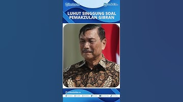 Soal Usulan #Pemakzulan #Gibran, #Luhut : Ribut-ribut Begitu Kampungan
