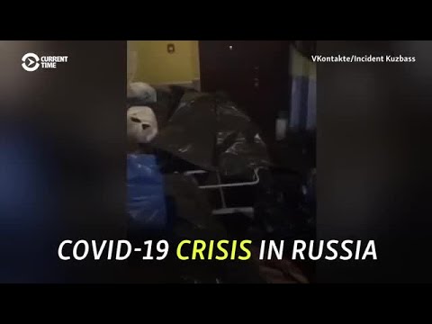 Video: Chupacabra è Arrivato In Russia? - Visualizzazione Alternativa