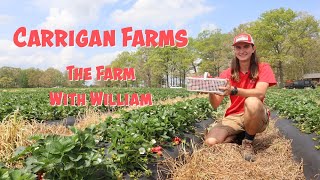 Carrigan Farms Channel Intro