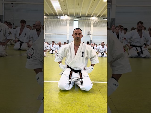 Baltic Fighting Camp 2026 #kyokushin #shinkyokushin #karate #1kyokushin #一極真 #極真会館