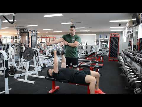 فتح دمبلص مستوي   