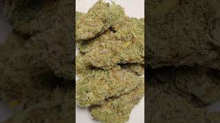 🔥Animal Sherbet🔥 Cannabis strain review/W Dr. Greenbody