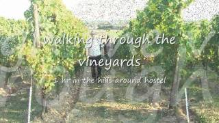Riesling Route Wanderlust Hostel Between Frankfurt Und Mainz