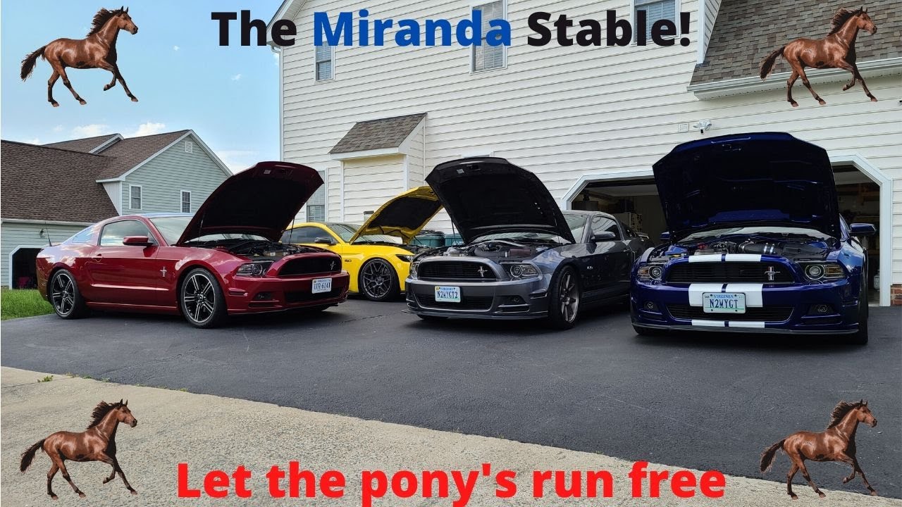 The Forgotten Fury Unveiling The Secrets Of The Ford Mustang Stablemate
