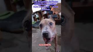 Rayita María compren boletos Rifa faltan muchos WhatsApp,5516959963.INF#losangelitosdepedro#donacion