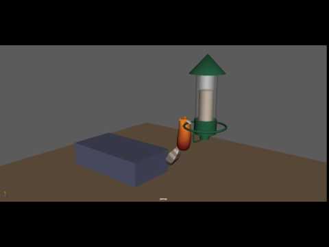 Bouncing Squirrel