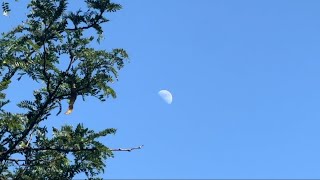 Three Pieces Of Advice Mop Bucket Tv-Ep.1