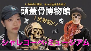 カラーで見る シャレコーベ の謎紀行 頭蓋骨 にまつわる世界の不思議を訪ねて 世界初⁉︎頭蓋骨専門博物館〜シャレコーベミュージアム〜 - YouTube