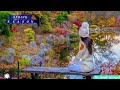 Nature B-roll / Hit Cinematic Film by Professional Filmmaker