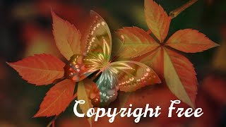 Fresh By Ikson Presented By Ncs Shadow