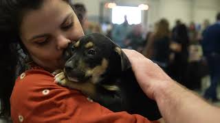 Homeward Bound 2022
