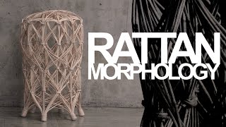 ARCHITECTURAL FLUIDITY - Extending the design space of rattan through three-dimensional winding