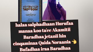 Obollewwanii kiyaa App #Al Qaida Noraania kanaa bufadhaa iraa baradhaa Baredadhaa screenshot 4