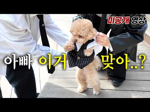A father's tearful efforts to make the genius dog Tori the "Dog President"... [Dog President Behi...
