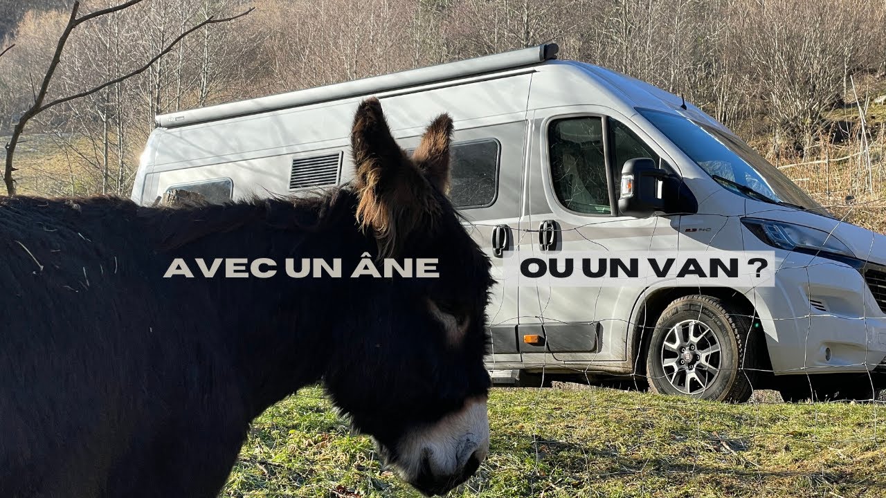 VIE NOMADE AVEC UN ÂNE OU UN VAN ? - YouTube