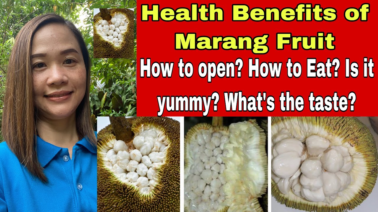 Health Benefits of Marang Fruit + How to open? How to eat? Is it yummy
