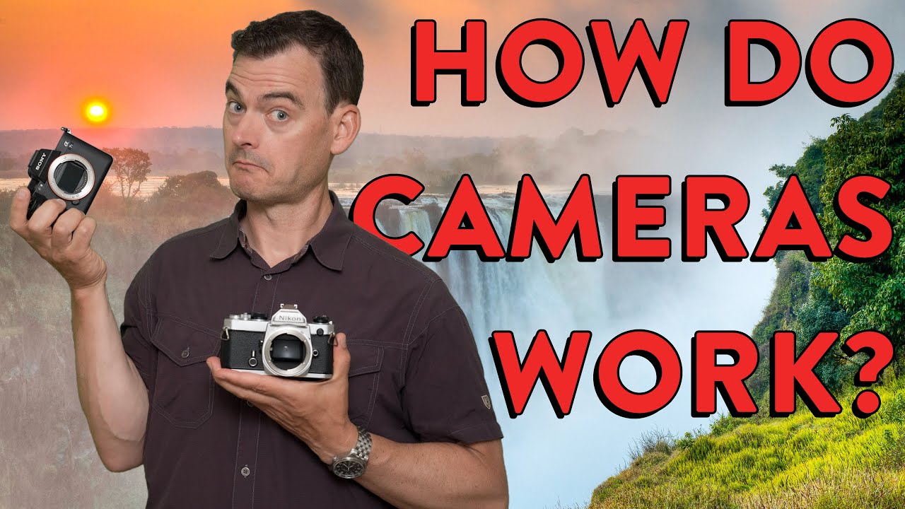 How Do Cameras Work? + DSLR vs Mirrorless Photography for Beginners